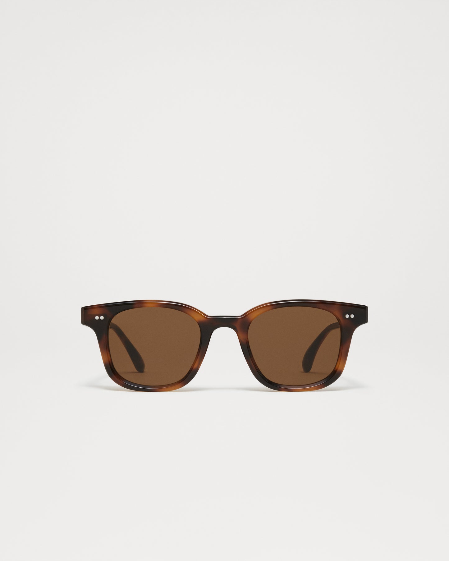 CHIMI - 02 TORTOISE