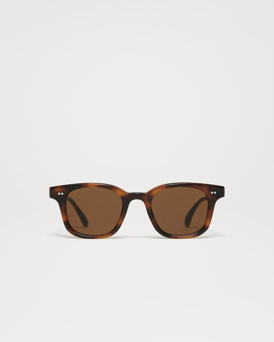 CHIMI - 02 TORTOISE