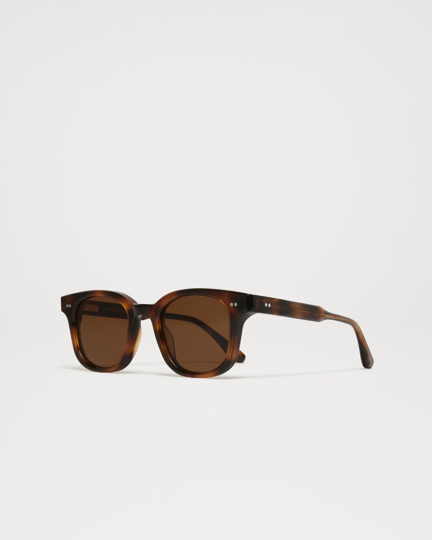 CHIMI - 02 TORTOISE
