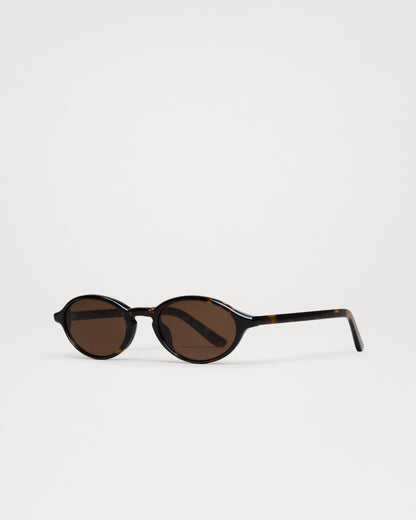 CHIMI - LEX TORTOISE