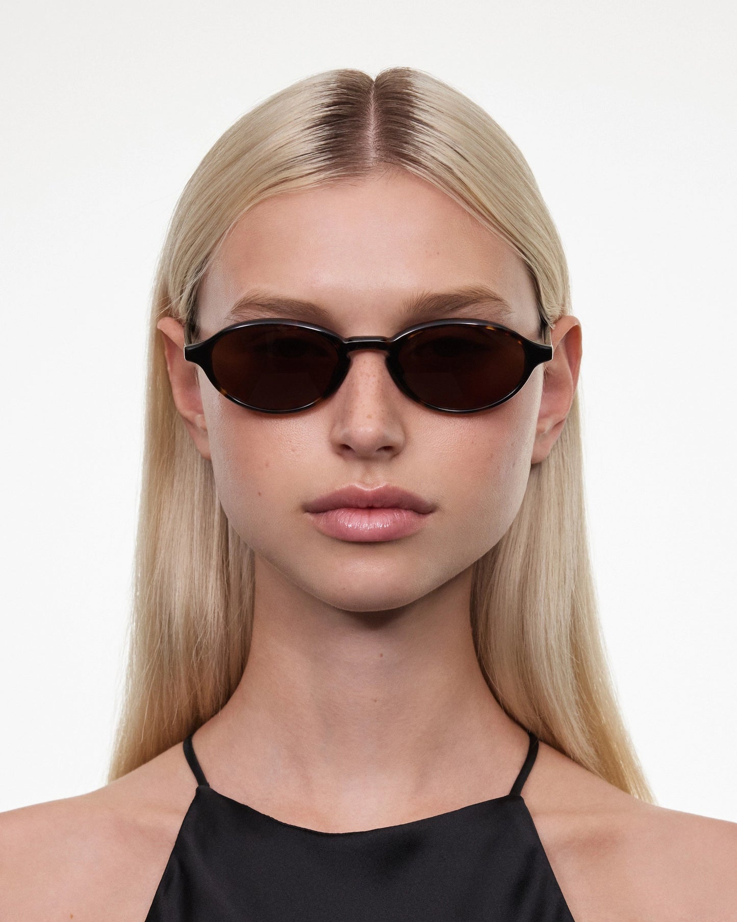 CHIMI - LEX TORTOISE