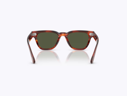 OLIVER PEOPLES - RUENY / Koa Tortoise