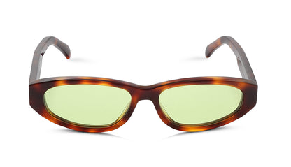 G.O.D - FORTY SEVEN / Tortoise